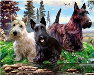 Three Scottish Terrier 5D Diamond Mosaic Dog DIY Diamond Embroidery Painting Embroidery Cross-stitch 3D Full Circular Embroidery Craft Homejoy - 50x70
