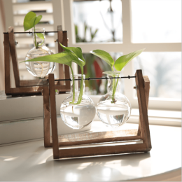 Hot selling home decor water planting glass flower vase with wooden frame creative modern glass vase - Two bottles