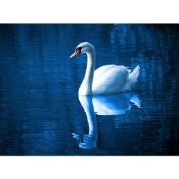 5D Diamond Painting - WeiÃŸer Schwan Homejoy - 50x60cm