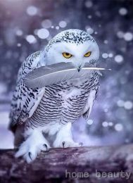 Diy embroidery with diamonds needlework diamond painting mosaic dmc paint animals snow owl cross-stitch decor handwork Homejoy - 50x70