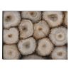 Captivating Tree Trunk Wooden Wall Art Decor, Multicolor - C224-124119