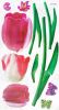 Romantic Flowers - Wall Decals Stickers Appliques Home Decor - HEMU-SH-803