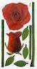 Ruddy Rose 2 - Wall Decals Stickers Appliques Home Decor - HEMU-SS-012