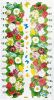 Colorful Grove - Wall Decals Stickers Appliques Home Decor - HEMU-LB-1642