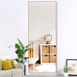 Modern Full Length Mirror, 65" x 22"x 1.2" - Gold - Aluminum alloy