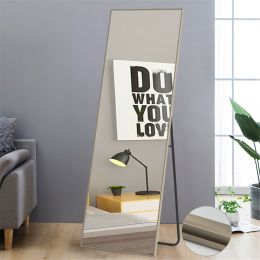 Modern Full Length Mirror, 65" x 22"x 1.2" (Material: Aluminum alloy, Color: Matte Champagne)